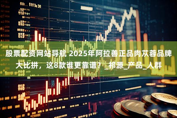 股票配资网站导航 2025年阿拉善正品肉苁蓉品牌大比拼，这8款谁更靠谱？_祁源_产品_人群